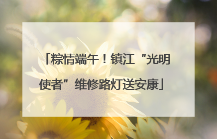 粽情端午！镇江“光明使者”维修路灯送安康
