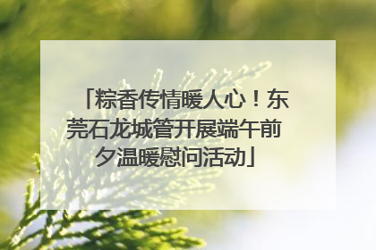 粽香传情暖人心！东莞石龙城管开展端午前夕温暖慰问活动
