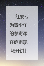 红安专为青少年的禁毒课在庭审现场开讲