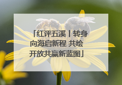 红评五溪丨转身向海启新程 共绘开放共赢新蓝图