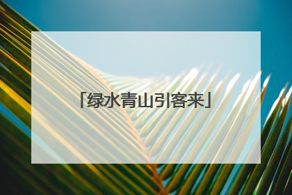 绿水青山引客来