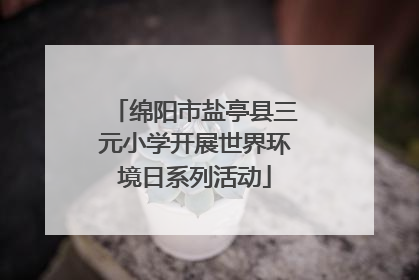 绵阳市盐亭县三元小学开展世界环境日系列活动
