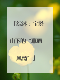 综述：宝塔山下的“草原风情”
