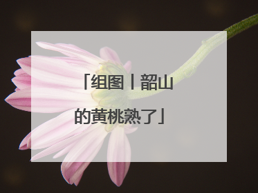 组图丨韶山的黄桃熟了