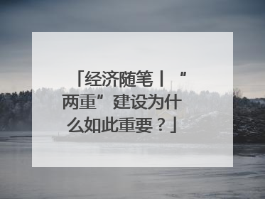 经济随笔丨“两重”建设为什么如此重要？