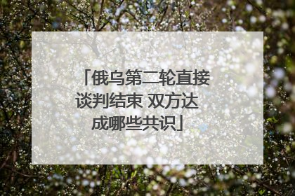 俄乌第二轮直接谈判结束 双方达成哪些共识
