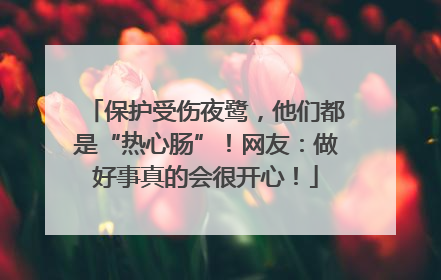 保护受伤夜鹭，他们都是“热心肠”！网友：做好事真的会很开心！