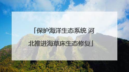 保护海洋生态系统 河北推进海草床生态修复