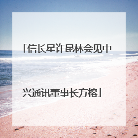 信长星许昆林会见中兴通讯董事长方榕