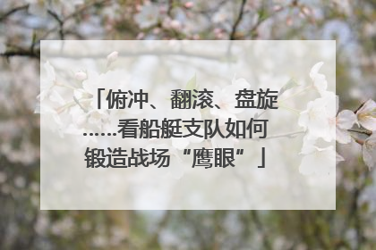 俯冲、翻滚、盘旋……看船艇支队如何锻造战场“鹰眼”