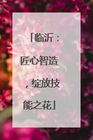 临沂：匠心智造，绽放技能之花