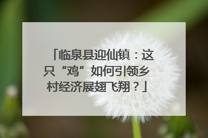 临泉县迎仙镇：这只“鸡”如何引领乡村经济展翅飞翔？
