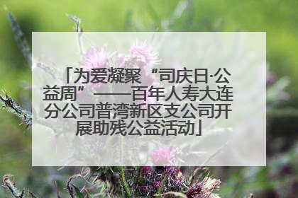 为爱凝聚“司庆日·公益周”——百年人寿大连分公司普湾新区支公司开展助残公益活动