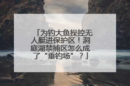 为钓大鱼操控无人艇进保护区！洞庭湖禁捕区怎么成了“垂钓场”？
