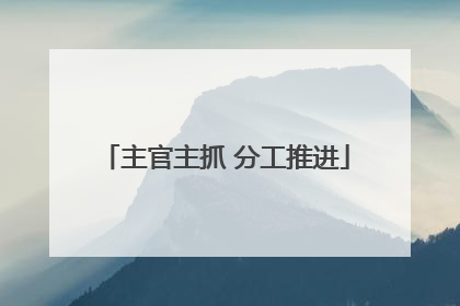 主官主抓 分工推进