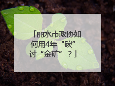 丽水市政协如何用4年“碳”讨“金矿”？