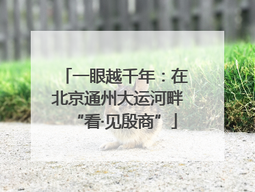 一眼越千年：在北京通州大运河畔“看·见殷商”