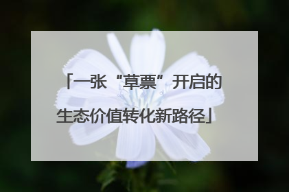 一张“草票”开启的生态价值转化新路径