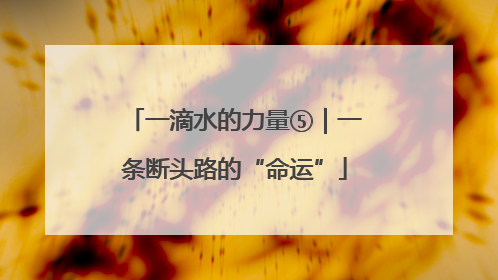 一滴水的力量⑤｜一条断头路的“命运”