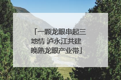 一颗龙眼串起三地情 泸永江共建晚熟龙眼产业带
