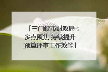 三门峡市财政局：多点聚焦 持续提升预算评审工作效能