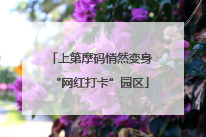 上第摩码悄然变身“网红打卡”园区