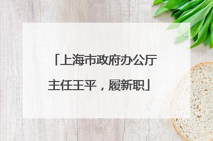 上海市政府办公厅主任王平，履新职