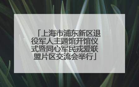 上海市浦东新区退役军人主题馆开馆仪式暨同心军民戎爱联盟片区交流会举行
