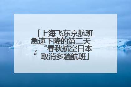 上海飞东京航班急速下降的第二天，“春秋航空日本”取消多趟航班