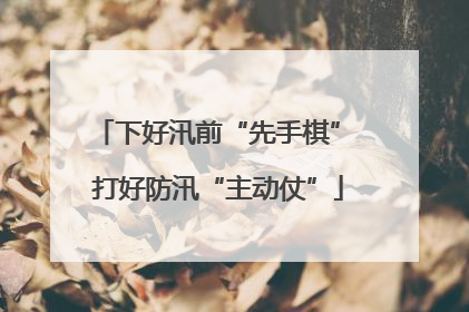下好汛前“先手棋” 打好防汛“主动仗”