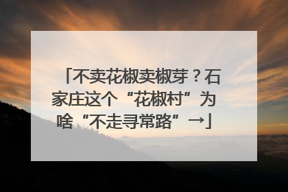 不卖花椒卖椒芽？石家庄这个“花椒村”为啥“不走寻常路”→