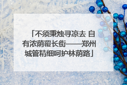 不须秉烛寻凉去 自有浓荫覆长街——郑州城管精细呵护林荫路