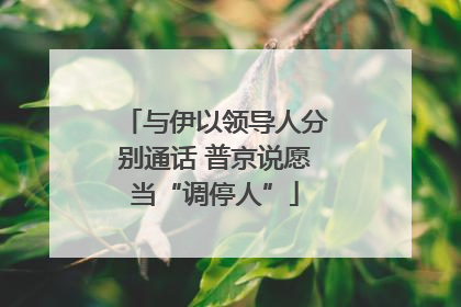 与伊以领导人分别通话 普京说愿当“调停人”
