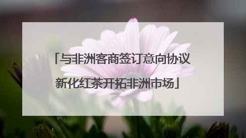 与非洲客商签订意向协议 新化红茶开拓非洲市场
