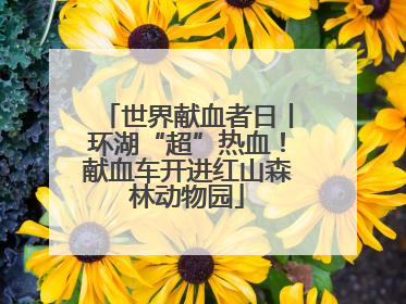 世界献血者日丨环湖“超”热血！献血车开进红山森林动物园