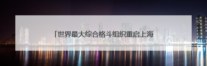 世界最大综合格斗组织重启上海站 UFC格斗之夜8月上演