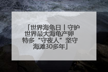世界海龟日丨守护世界最大海龟产卵 特多“守夜人”坚守海滩30多年