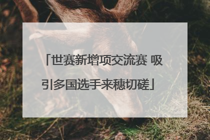 世赛新增项交流赛 吸引多国选手来穗切磋