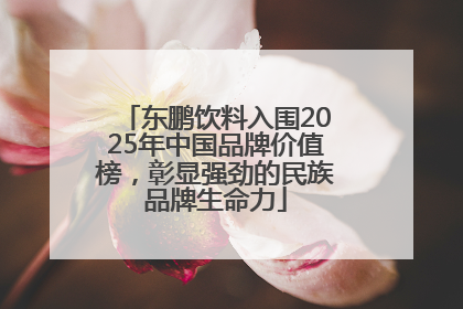 东鹏饮料入围2025年中国品牌价值榜，彰显强劲的民族品牌生命力