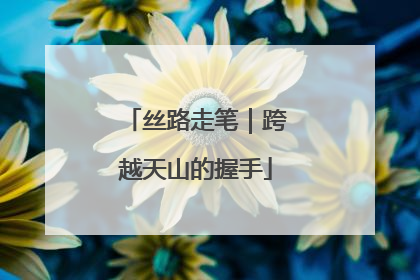 丝路走笔｜跨越天山的握手