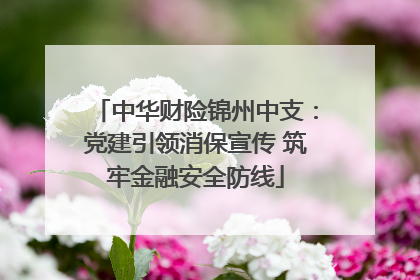 中华财险锦州中支：党建引领消保宣传 筑牢金融安全防线