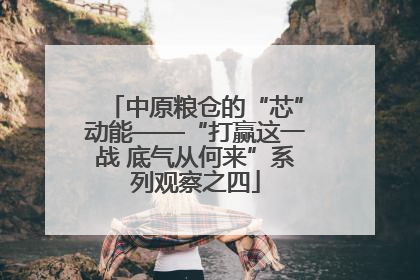 中原粮仓的“芯”动能——“打赢这一战 底气从何来”系列观察之四
