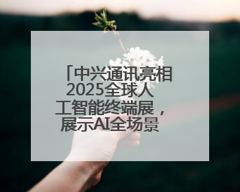 中兴通讯亮相2025全球人工智能终端展，展示AI全场景生态布局
