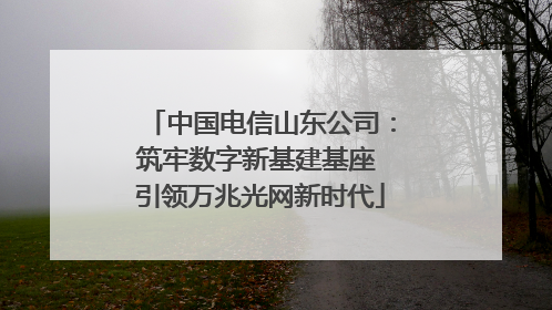 中国电信山东公司：筑牢数字新基建基座 引领万兆光网新时代