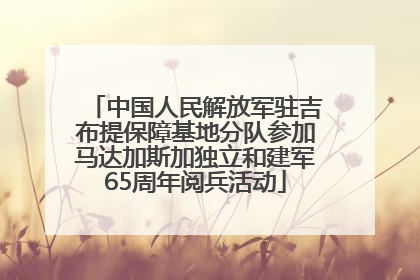 中国人民解放军驻吉布提保障基地分队参加马达加斯加独立和建军65周年阅兵活动