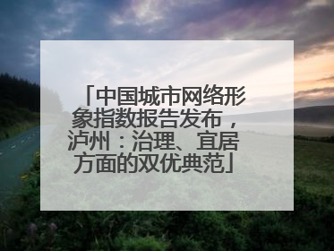 中国城市网络形象指数报告发布，泸州：治理、宜居方面的双优典范