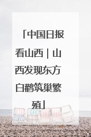 中国日报看山西｜山西发现东方白鹳筑巢繁殖