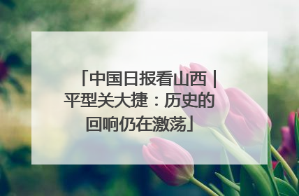 中国日报看山西｜平型关大捷：历史的回响仍在激荡