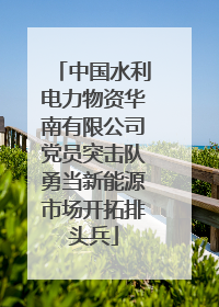 中国水利电力物资华南有限公司党员突击队勇当新能源市场开拓排头兵