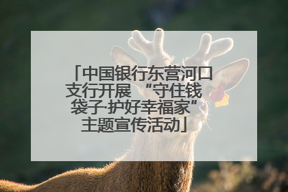 中国银行东营河口支行开展 “守住钱袋子·护好幸福家”主题宣传活动